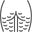 Less Visible Cellulite