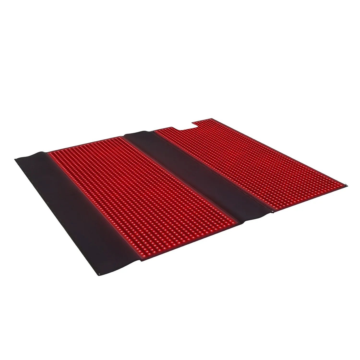 Red and Near - Infrared Light Therapy Bag - RICIAL